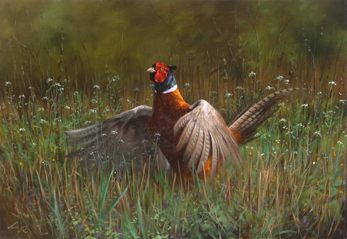 70x100cm. Oil, Canvas. Sold.                                              