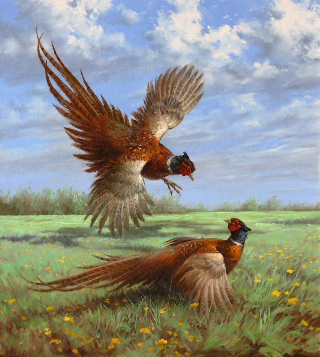 100x80cm, Oil, Canvas. Sold.                                              
