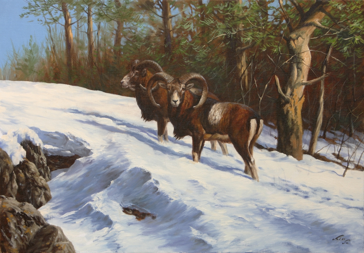 70x100cm. Oil, Canvas. Sold.                                              