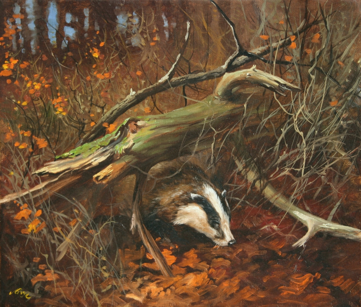 60x70cm. Oil, Canvas. Sold.                                              